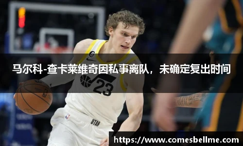 马尔科-查卡莱维奇因私事离队，未确定复出时间